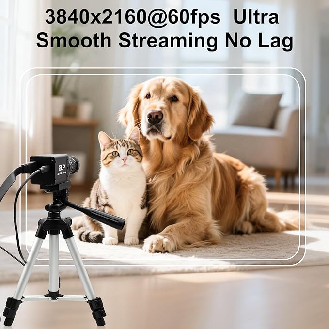 4K HDMI USB3.0 Simultaneous Output Camera H.264 High Speed 60fps Low Illumination Color Lightburn Webcam, 5-50mm 10X Zoom Manual Lens Plug & Play for Windows Linux Android Live Streaming