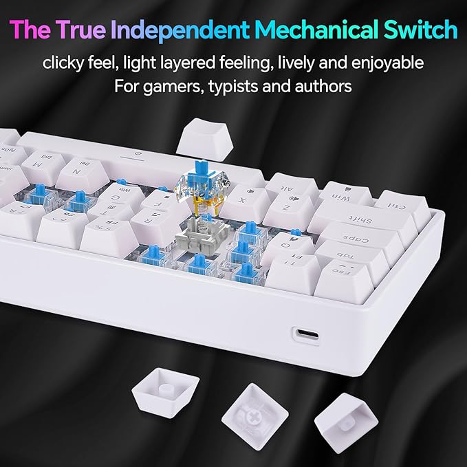 Mechanical 60% Keyboard RGB 1680M Color Backlit Compact Mini 61 Key Blue Switch Portable Keypad Compatible with Windows iMac Laptop PC Computer Office Gamer(White)