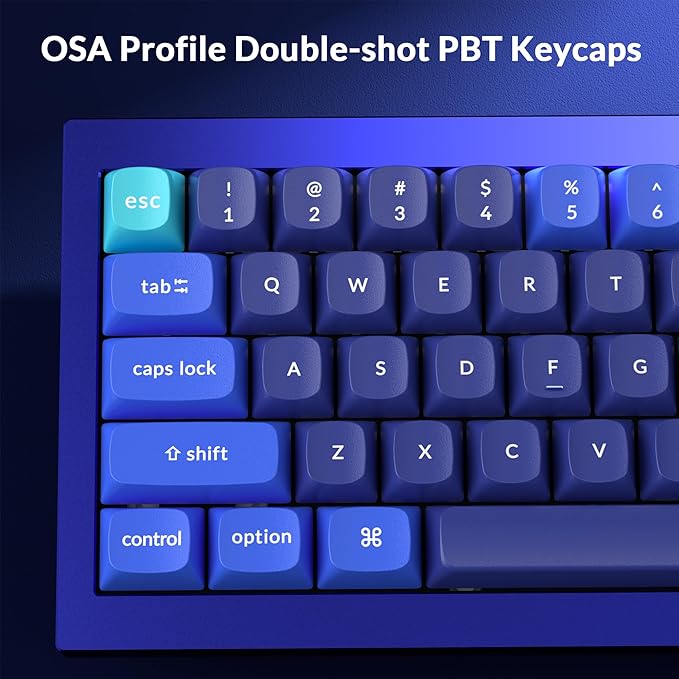 Keychron Q4 Wired Custom Mechanical Keyboard, QMK/VIA Programmable Macro, Full Aluminum, Hot-Swappable Gateron G Pro Brown Switch, 60% Layout Double Gasket Compatible with Mac and Windows - Blue