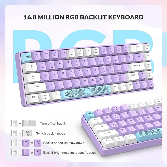 ZIYOU LANG RK-T8 Wired 65% Mechanical Gaming Keyboard with RGB LED Backlit Anti-ghosting TKL Mini 68 Key Custom Coiled C to A Cable Tactile Blue Switch for PS4 PS5 Xbox PC Mac Gamer(Lavender)
