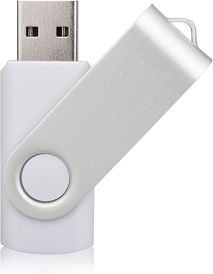 Aiibe 10 Pack 64 GB USB Flash Drives Thumb Drive Jump Drives 64GB 2.0 Flash Drive Bulk (10 Mixed Colors: Black Blue Red Green Orange White Yellow Pink Purple Silver)