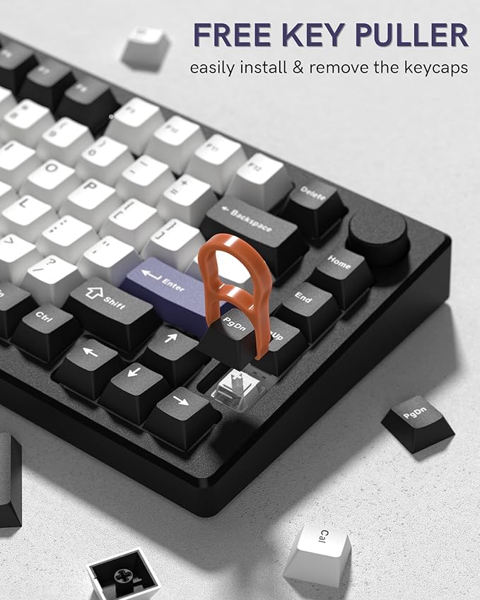 Womier Double Shot PBT Keycaps Set 138 Keys, Cherry Profile Custom Keycaps 60 65 75 100 Percent for 61/64/68/84/87/100/104/108 Retro Gaming Mechanical Keyboard (Black White2)