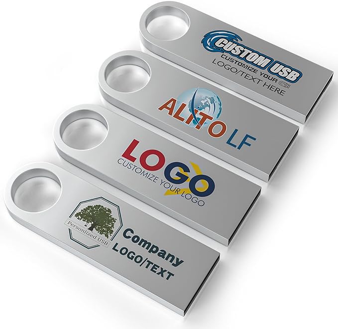 ABLAZE Custom Flash Drive 2GB 10 Pack, Personalized USB with Your Logo Metal Thumb Drives USB 2.0 Memory Stick Pendrive (Sliver)