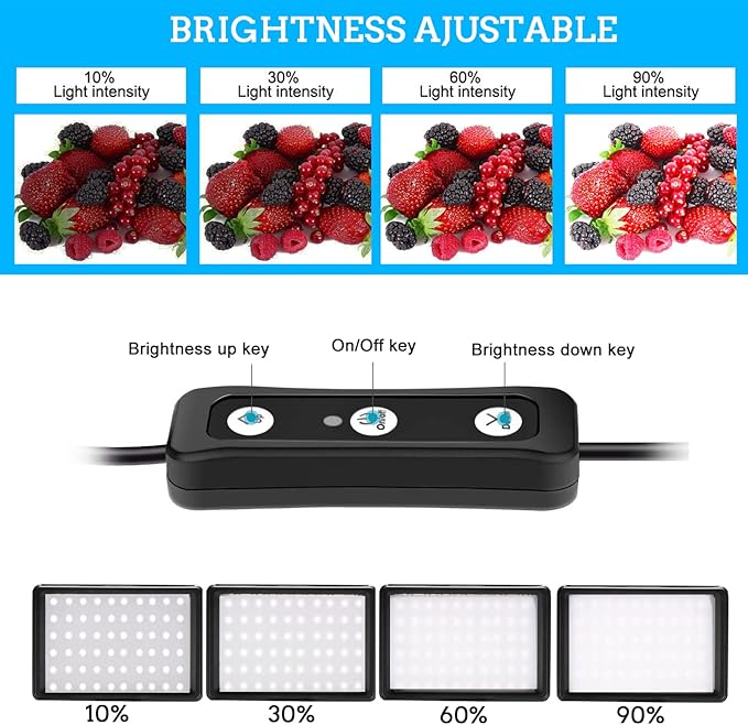 LED Video Light 2-Pack, 5600K Dimmable USB Photo Lights with Mini Tripod and Colored Filters for Photo Studios, Small Angle Shooting, Video Recording, Game Streaming