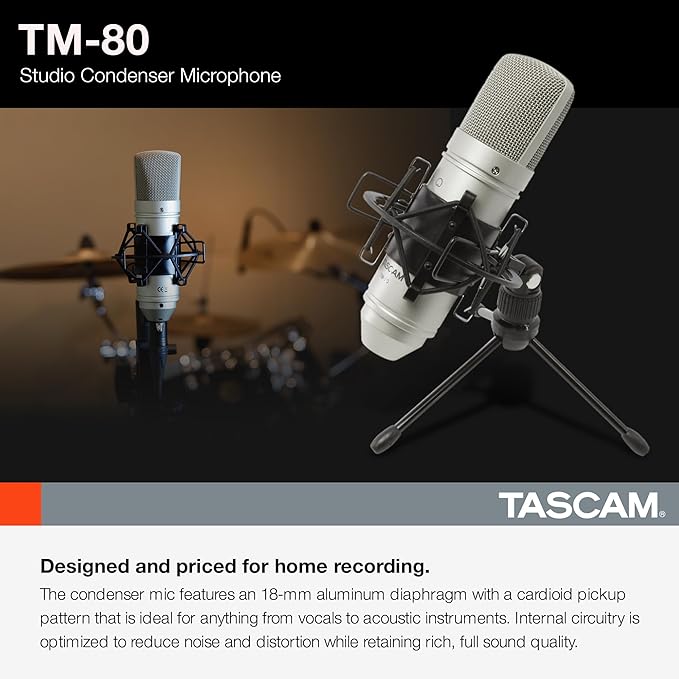 Tascam TM-80 Large Diaphagm Condenser Microphone,Silver