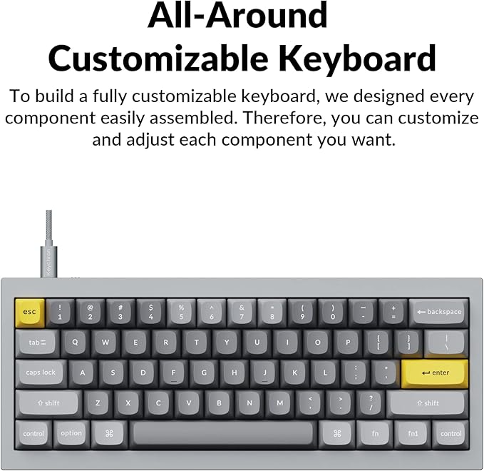 Keychron Q4 Wired Custom Mechanical Keyboard, QMK/VIA Programmable Macro, Full Aluminum, Hot-Swappable Gateron G Pro Brown Switch, 60% Layout Double Gasket Compatible with Mac and Windows - Blue