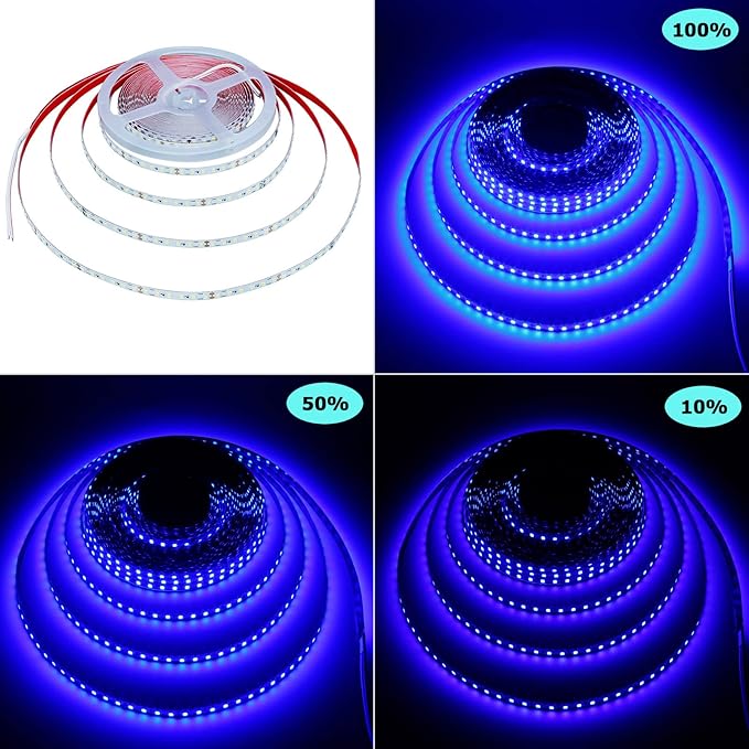 24V 32.8ft(10M) Blue LED Strip Light 1200LEDs 2835 SMD 90W High Brightness No-Waterproof IP20 Flexible Ribbon for Kitchen Garden Backyard Hallways Stairs Decoration Lighting(No Power Supply)