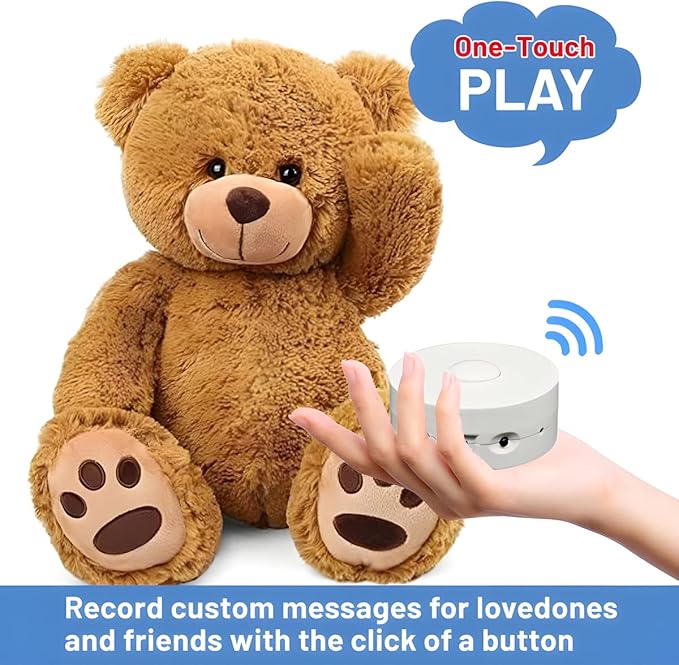 16 Minutes Voice Recorder, Record Custom Message for Crafts, Stuffed Bear, Baby Doll, and Pillow (2Pack + White)