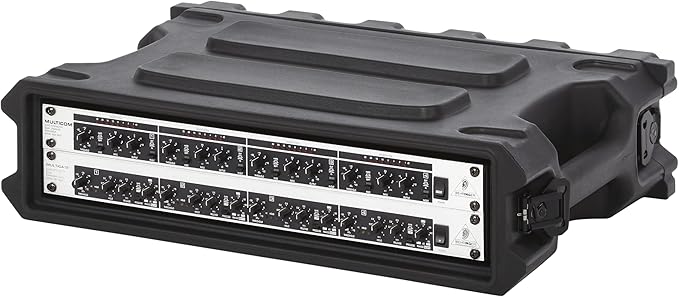 Gator Cases Pro Series 2U Rack Case with Shallow 13" Depth, Roto Molded Made in USA (G-PRO-2U-13)