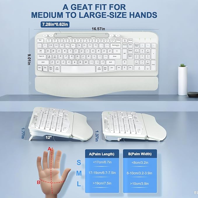 Ergonomic Wireless Keyboard with Cushioned Wrist Rest, Wave Keys, Phone Holder, Comfortable Natural Typing, 2.4GHz Full Size Cordless USB Computer Keyboard for Windows, Mac OS, Laptop, PC (White)