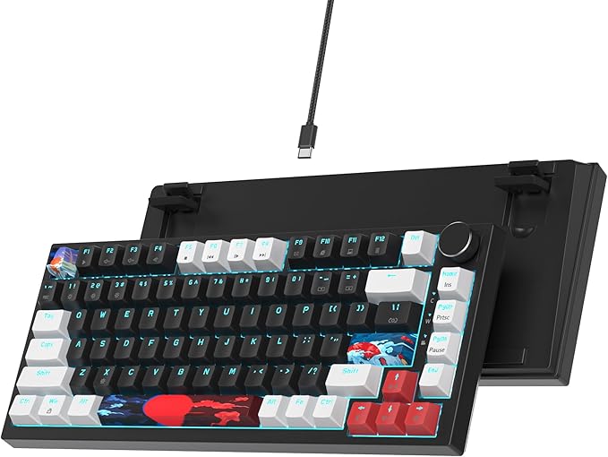 75% Mechanical Gasket Mount TKL Gaming Keyboard - Wired, Custom Hot Swappable, RGB Backlit for PC & Laptop Gamers (Black)
