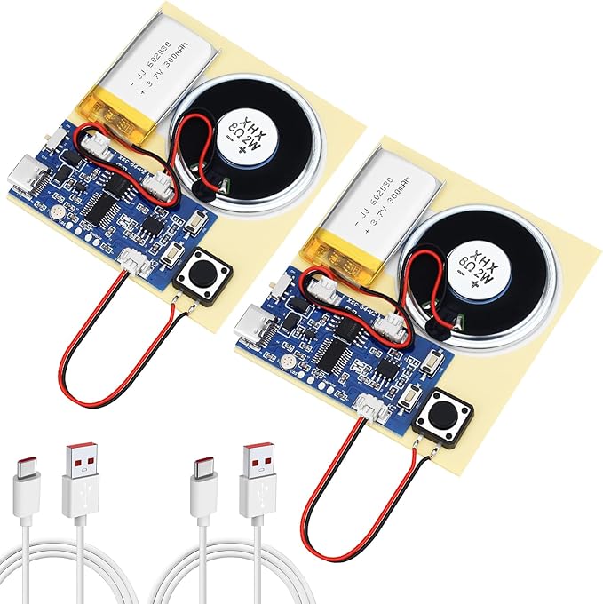 2PCS Sound Recorder Module DIY Music Voice Recording Module Chip with Speaker,Type-C Cable,Easy Recording Capability16 Minutes Music for Personalized Greetings, Holiday Crafts Cards with Manual