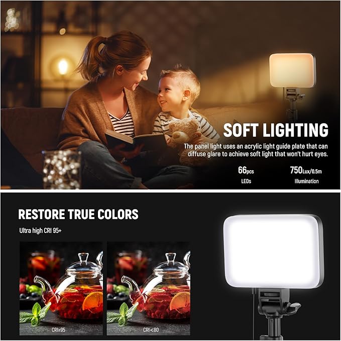 NEEWER Basics LED Video Light Panel Lighting Kit, Bi Color Dimmable Portable Studio Lights with Tripod Stand & Filters, 3200K~5600K CRI 95 750lux for Photography Video Recording Live Streaming, BP66