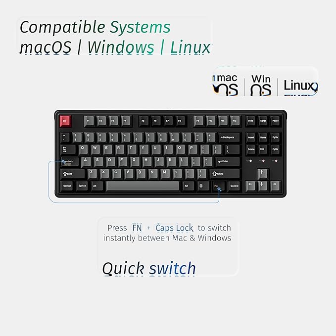 Keychron C3 HE TKL Wired Mechanical Keyboard (80% Layout), Magnetic Switches with Adjustable Actuation, Rapid Trigger, RGB Backlight & Side Lighting, Double-Shot PBT Keycaps – Mac/Windows/Linux
