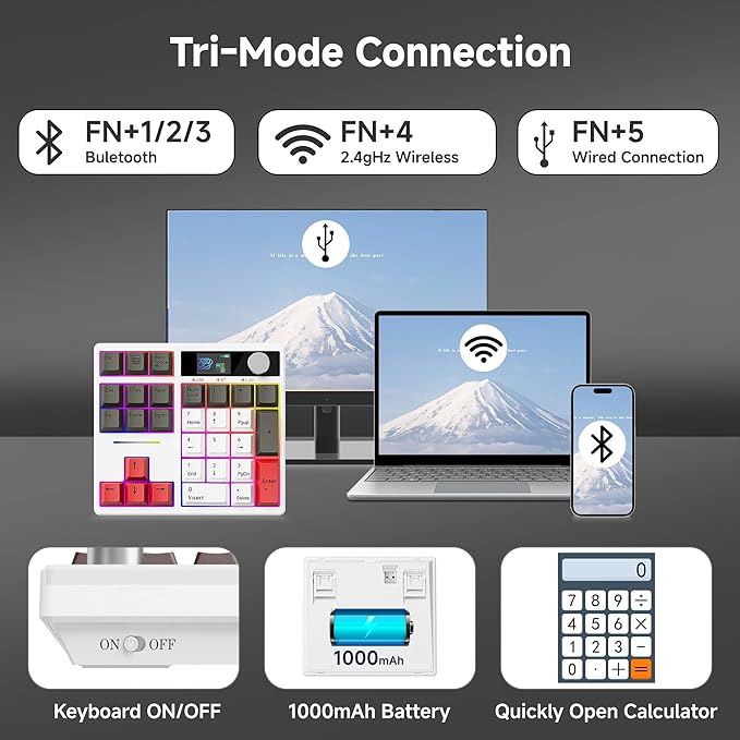 BOYI TD31Pro Mechanical Number Pad,Bluetooth5.0/2.4G/Type-C Wireless Numeric Keypad,RGB HotSwap Numpad with Screen&Knob,PBT Keycaps Rechargeable Gasket Number keypad for Working/Gaming(White-Grey)