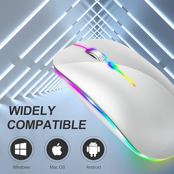 KLO Rechargeable Bluetooth 5.2/3.0/Type-C/USB-2.4G Mouse for MacBook/MacBook air/Pro/iPad, Wireless Mouse for Laptop/Notebook/pc/iPad/Chromebook (2/Silver)
