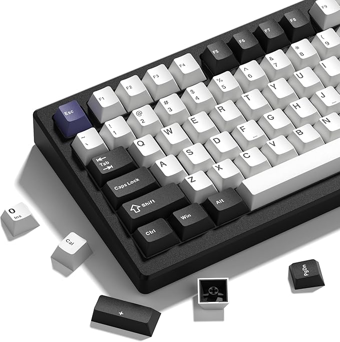 Womier Double Shot PBT Keycaps Set 138 Keys, Cherry Profile Custom Keycaps 60 65 75 100 Percent for 61/64/68/84/87/100/104/108 Retro Gaming Mechanical Keyboard (Black White2)