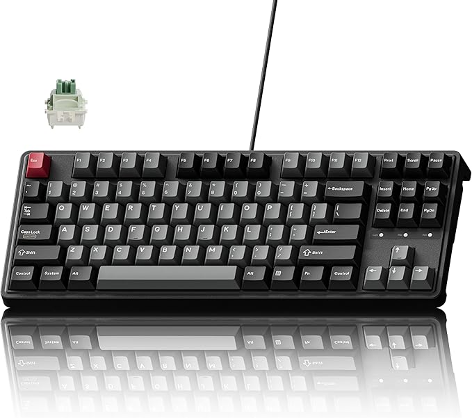 Keychron C3 HE TKL Wired Mechanical Keyboard (80% Layout), Magnetic Switches with Adjustable Actuation, Rapid Trigger, RGB Backlight & Side Lighting, Double-Shot PBT Keycaps – Mac/Windows/Linux