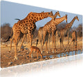 Extra Large Gaming & Office Mouse Pad (31.5" x 11.8") – A Group of South African Giraffes at a Waterhole, Premium XXL Desk Mat with Durable Stitched Edges & Smooth Surface & Anti-Slip Base