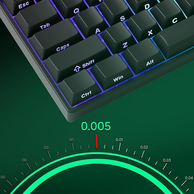 MONSGEEK FUN60 Pro Rapid Trigger Gaming Keyboard 16k Scan Rate SP Magnetic Switch HE Keyboard Wired 60% Black Shine-Through (Glare Magnetic Switch)