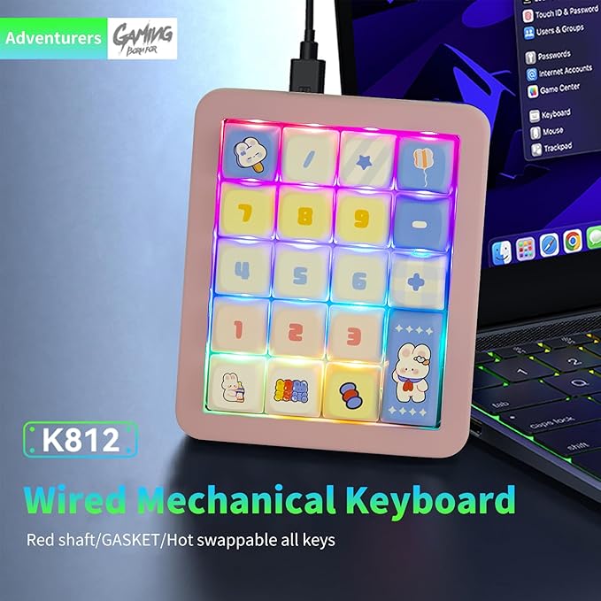 Adventurers K812 Wired Mechanical Numeric Keypad, 19-Key Hot-Swappable RGB Numpad, Macro Programmable, Detachable Type-C Cable, Game/Office Mode Switch – for PC/Laptop/Desktop (Pink)