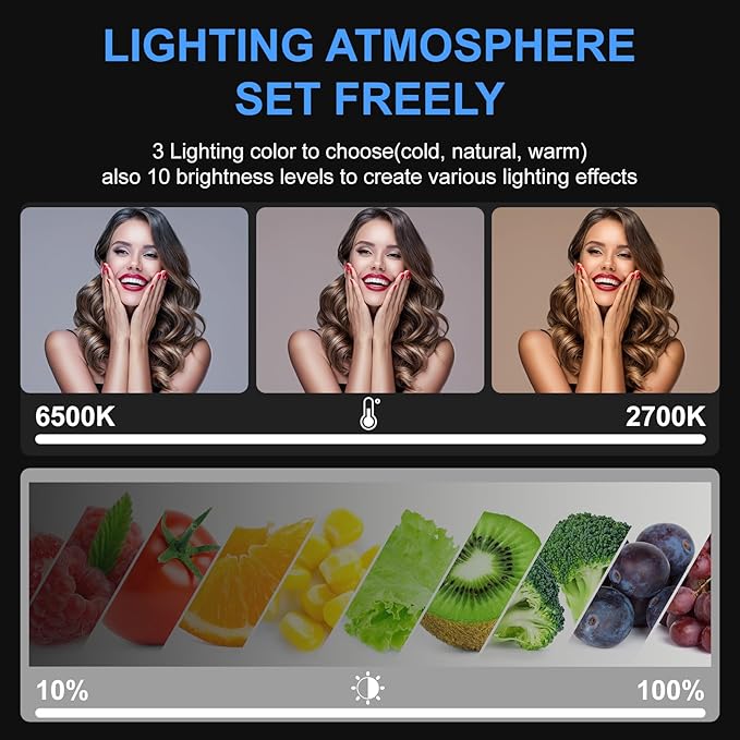 ALTSON 2 Packs Video Light Kit, LED Studio Light, 2700-6500K Dimmable Photography Lighting Kit with Tripod Stand&Phone Holder, 12" Rotating Streaming Light for Video Recording, Game Streaming, YouTube
