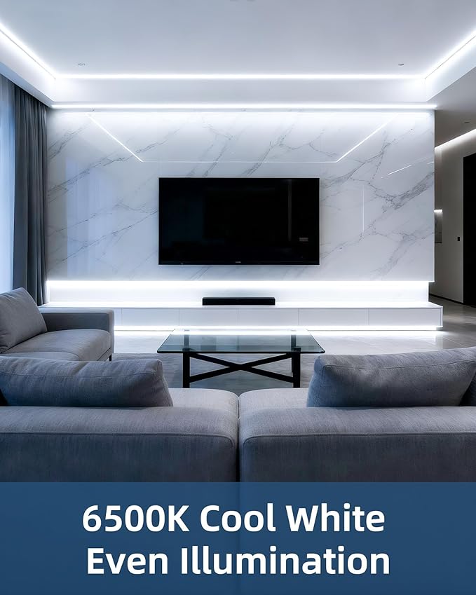 66ft LED Strip Lights with Remote, 6500K Daylight White Dimmable Tape Lights, 12V 1200 LEDs 2835 Strong Adhesive Rope Lights for Cabinet Kitchen Ceiling Closet Vanity Mirror Stairway Basement