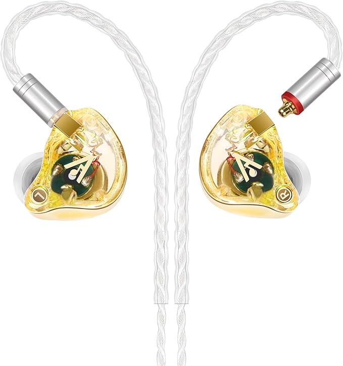 Vibes 202 Wired Earbuds - HiFi in Ear Monitor Headphones – Professional Noise Isolating Ear Buds - Clear Sound, Deep Bass & Comfort-Fit IEM Earphones - MMCX to 3.5mm, Silver Plated Cord, Carrying Case