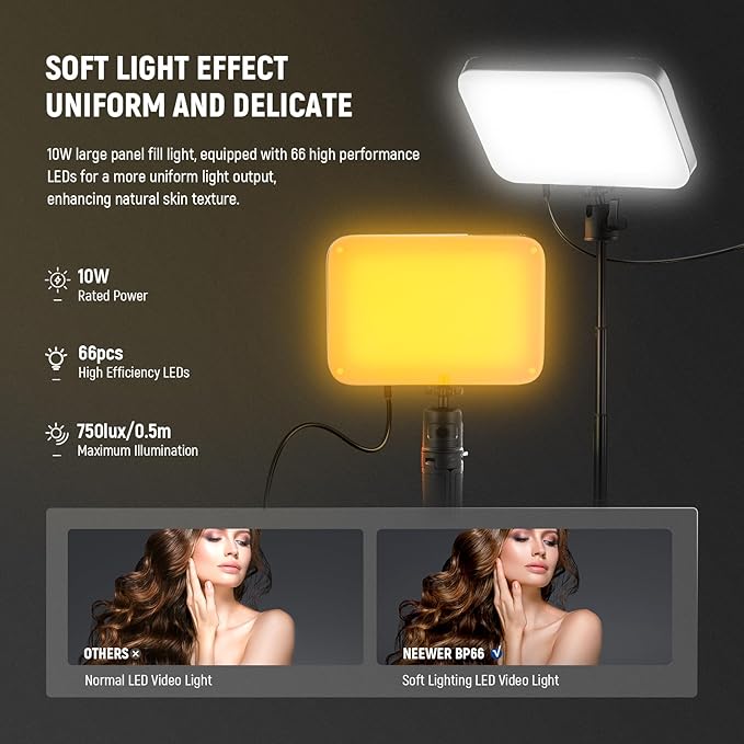 NEEWER BASICS 2 Pack LED Video Panel Light, Video Conference Lighting Kit with Desktop Tripod Stands/Filters for Webcam Desk Computer Laptop Zoom Call Makeup Recording Selfie Streaming, Dimmable, BP66