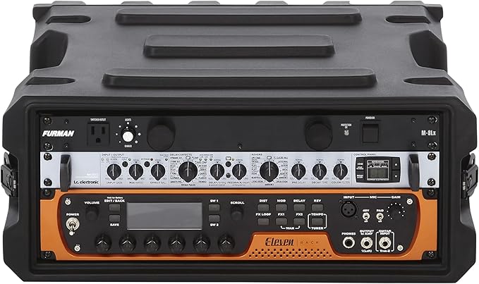Gator Cases Pro Series Rotationally Molded 4U Rack Case with Standard 19" Depth; Made in USA (G-PRO-4U-19), Black