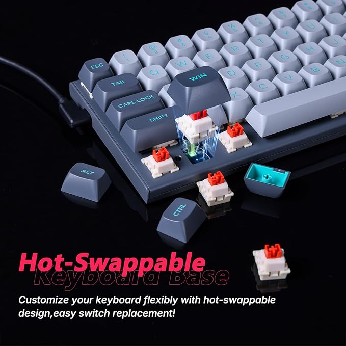 E-YOOSO Hz-61 60% RGB Mechanical Gaming Keyboard Wired, Magnetic Switch, PBT Keycaps, Hot Swappable Mechanical Keyboard Compact Desigh for PC/Mac