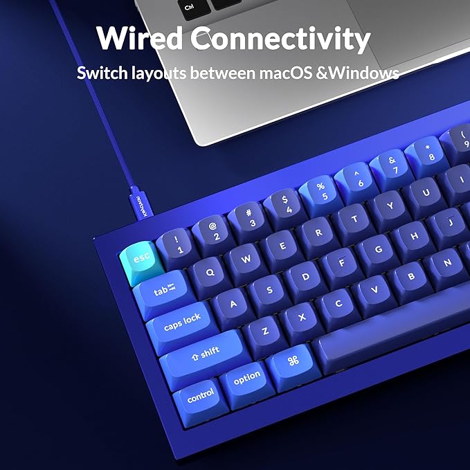 Keychron Q4 Wired Custom Mechanical Keyboard, QMK/VIA Programmable Macro, Full Aluminum, Hot-Swappable Gateron G Pro Red Switch, 60% Layout Double Gasket Compatible with Mac and Windows - Blue