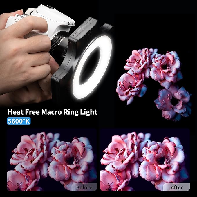 JJC Macro Ring Light for DSLR Macro Lens Canon EF 100mm f2.8L/RF 100mm f2.8L/EF-S 60mm f2.8/Nikon AF Micro 60mm f2.8D/AF-S DX Micro 40mm f2.8G/Z MC 50mm f2.8 with 49/52/55/58 62/67mm Adapter Rings