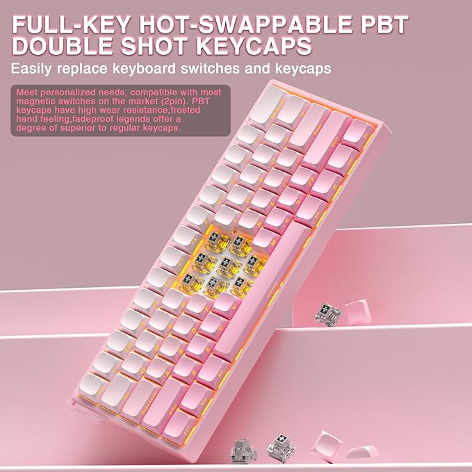 Aula WIN60 HE - 60% Mechanical Gaming Keyboard Wired, Hall Effect Magnetic Switch Hot Swappable,8000 Hz Polling Rate, RGB Keyboard 60 Percent Compact Design for PC (Gradient Pink)