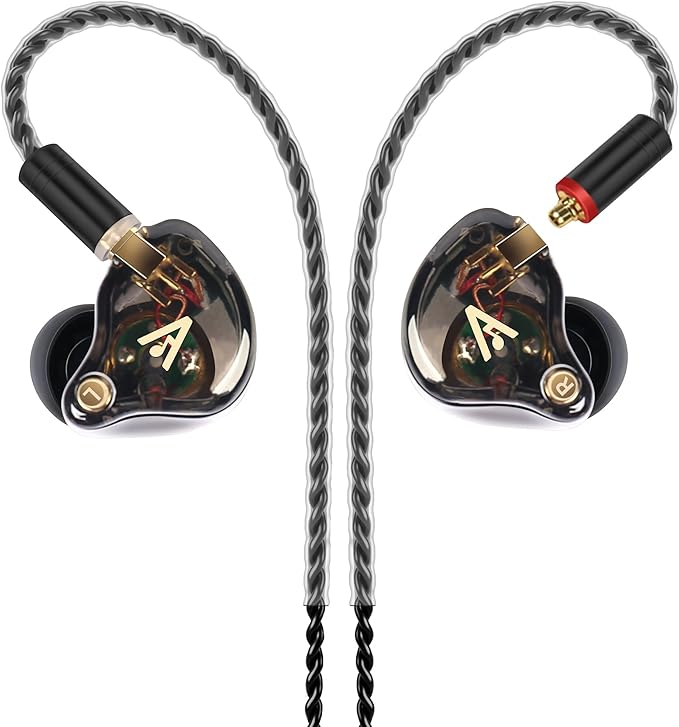 Vibes 202 Wired Earbuds - HiFi in Ear Monitor Headphones – Professional Noise Isolating Ear Buds - Clear Sound, Deep Bass & Comfort-Fit IEM Earphones - MMCX to 3.5mm, Silver Plated Cord, Carrying Case
