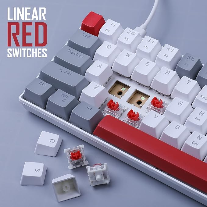 Camiysn 60% Mechanical Gaming Keyboard,Mixed Color Keycaps Gaming Keyboard with Red Switches, Detachable Type-C Cable Mini Keyboard with Blue LED Light for PC/Laptop