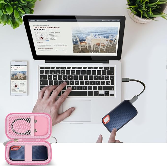 GWCASE Hard Case for SanDisk Extreme Portable SSD 1TB 2TB 4TB 8TB 500GB, External for Solid State Drive Travel Carrying Holder with Mesh Pocket for USB Cables & SD Cards (Bag Only)-Pink