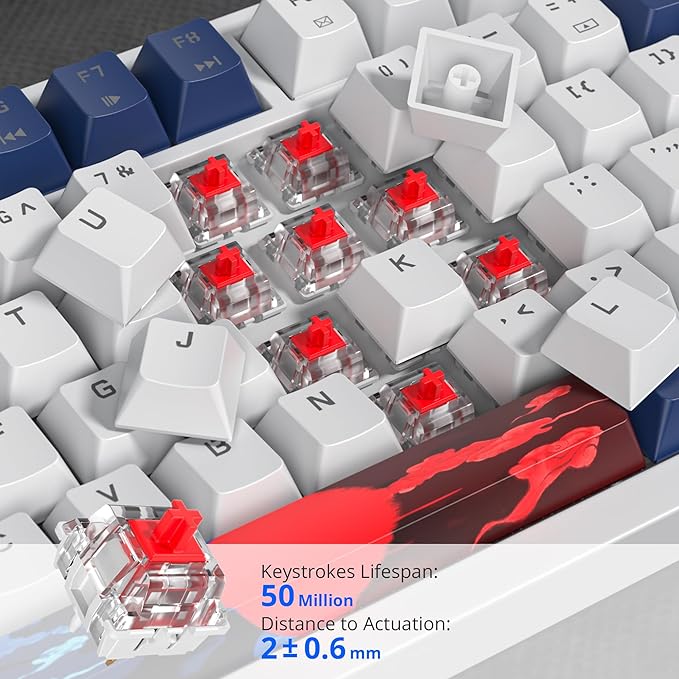 75% Mechanical Gaming Keyboard, Hot Swappable RGB Backlit Custom With Knob, Gasket Mount USB Wired, 82 Keys Blue White Linear Red Switch (82 Blue White)