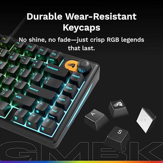GLORIOUS Gaming Keyboard GMBK 75% - Swappable MX Compatible keycaps, Detachable USB Cable, IP57 Water and dust Resistant, 10 Zone RGB Lighting, Quiet switches - 321x137x41 mm - English QWERTY Layout