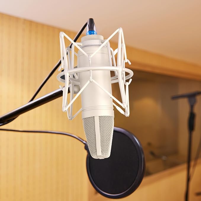 SUUNTOK Condenser Microphone XLR, Large Diaphgram Professional Recording Cardioid Microphone Kit with Shock Mount, for Studio, Live Streaming, Podcas (Silver)