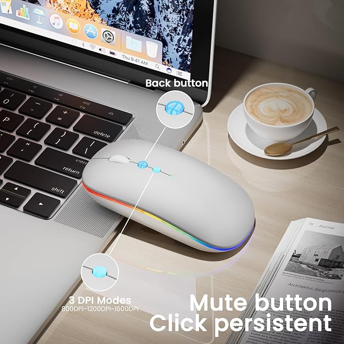 Halpilt LED Wireless Mouse A100S Rechargeable Portable Silent Mouse with Optional USB and Type-C Receiver 3-Speed Adjustable DPI for PC/Mac/Laptop (Frosted Silver)
