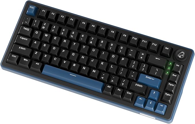 Ducky OK-M - 65% Wireless Mechanical Gaming Keyboard : Gasket-Mount Design, Hot-Swappable Switches, Five-Layer Acoustic Dampening, RGB, USB-C, 2.4Ghz, Bluetooth, Wine Red Switch