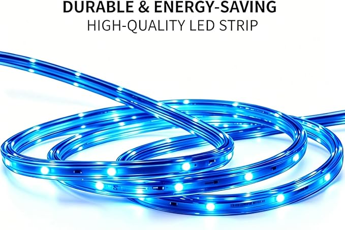 LED Rope Lights, 33Feet Blue Flat Flexible Strip Light, Plug in Novelty Lighting, Connectable and Waterproof for Home Christmas Holiday Garden Patio Party Decoration