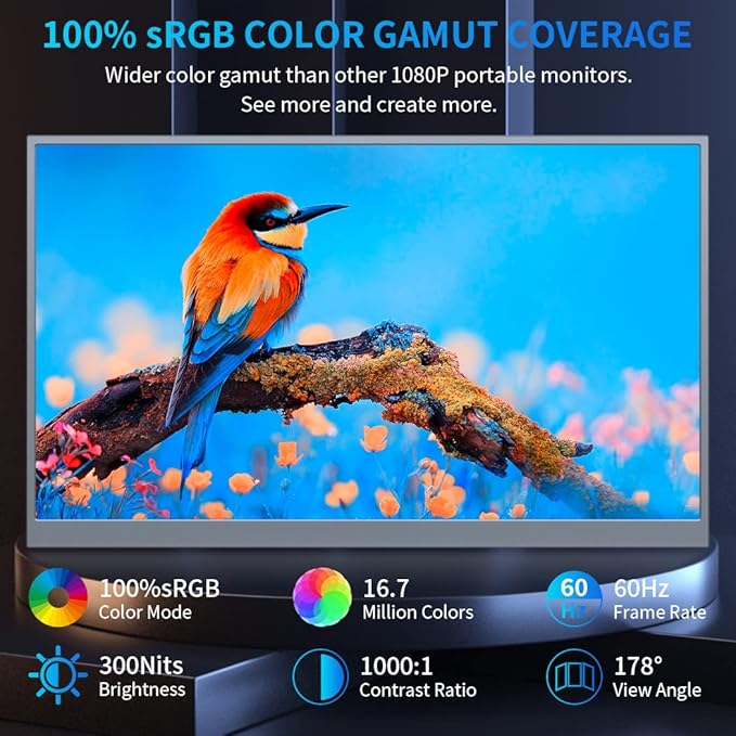 Portable Monitor 18.5 inch,300cd/m² 100% sRGB, 1080P FHD IPS Portable Big Screen with Stand,HDMI & Type-C Ports External Display for Laptop Mini PC Mac Game Console Phone