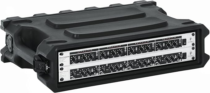 Gator Cases Pro Series 2U Rack Case with Shallow 13" Depth, Roto Molded Made in USA (G-PRO-2U-13)
