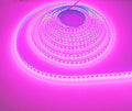 SUYOOULIN LED Strip Lights, SMD 2835 LED Strip, DC12V 1200LEDs 16.4Ft 26000LM High Density LED Light Strips Waterproof IP65, 3 Times Brightness Than SMD3528 LED Strip, Pink