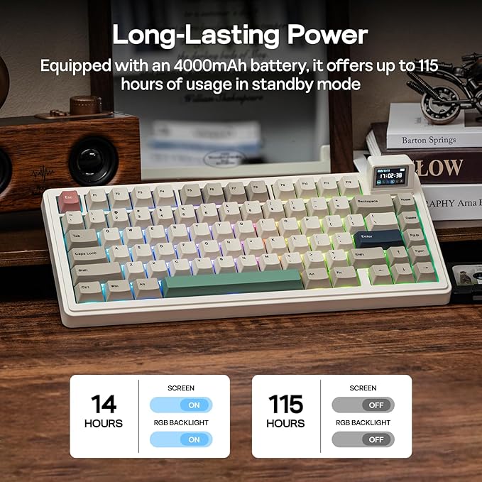 EPOMAKER RT82 Wireless Mechanical Keyboard with Screen, VIA Custom, 2.4GHz/USB-C/BT5.0, RGB Backlit, Gasket, 5-Paddings, PBT Keycaps, Hot-Swap Retro Gaming Keyboard (Sea Salt Silent)