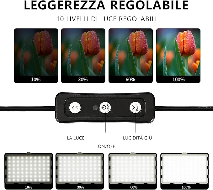 Photography Video Lighting Kit, LED Studio Streaming Lights W/70 Beads & Color Filter for Camera Photo Desktop Computer Conference Game Stream YouTube TikTok Portrait Shooting Pack of 2