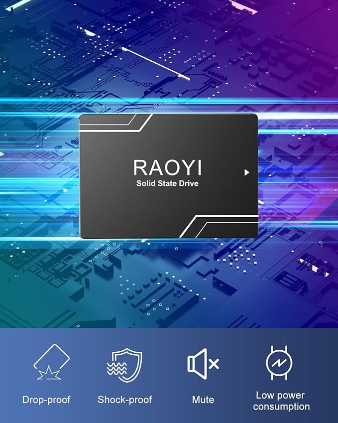 RAOYI 64GB Internal SSD SATA III 2.5” Solid State Drive 3D NAND Flash Advanced SSD Hard Drive Up to 300MB/s SATA 3 SSD Upgrade Performance for PC Laptop