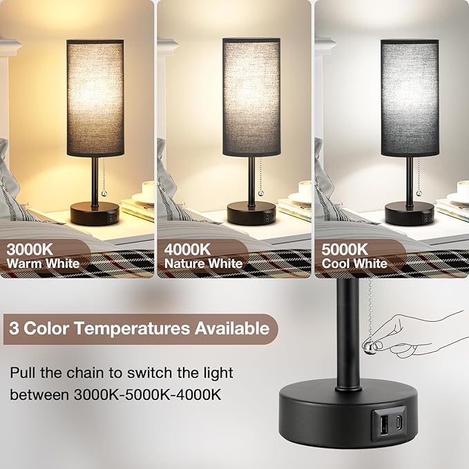 PartageiZ Black Bedside Lamps for Bedroom Set of 2 - Nightstand Table Lamp with USB Charging Port, Pull Chain Night Stand Light, Side Table Desk Reading Lamp for Living Room/Dorm/Bathroom/Kitchen